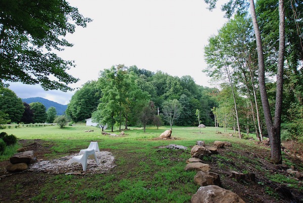 Yard After Renovation